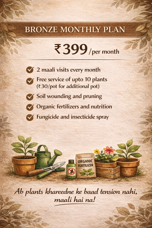 Bronze Monthly Plan - Maali Services