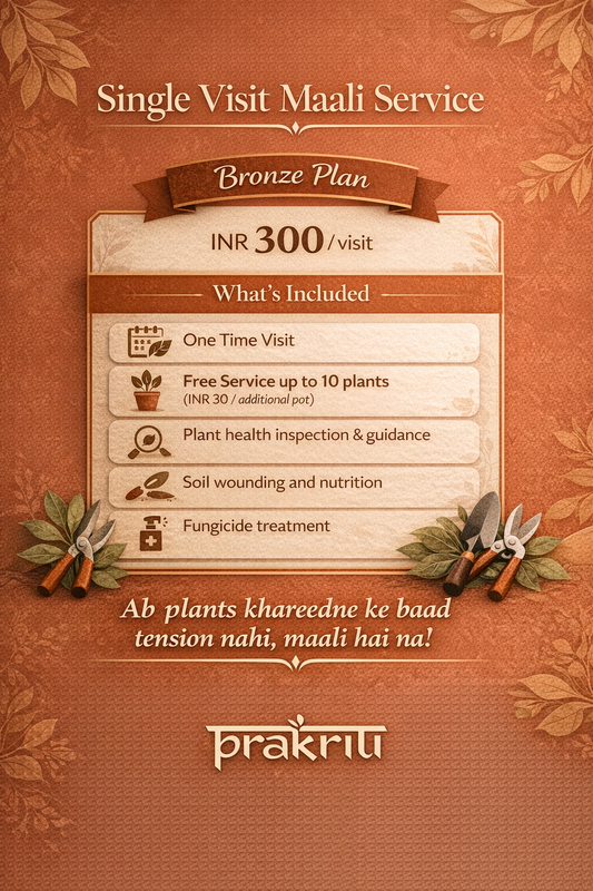 Single Visit Maali Service - Bronze Plan