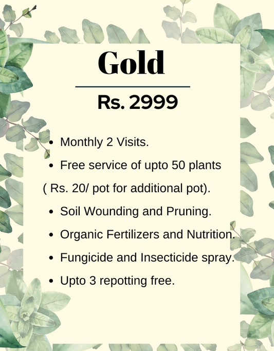 Gold Plan (Quarterly) - Maali Subscription Service