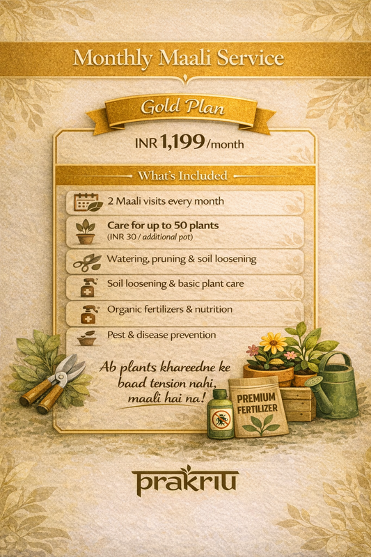 Gold Monthly Plan - Maali Services