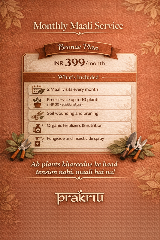 Monthly Maali Service – Bronze Plan