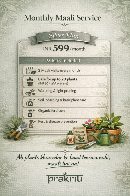 Monthly Maali Service – Silver Plan