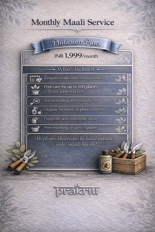 Platinum Monthly Plan - Maali Services