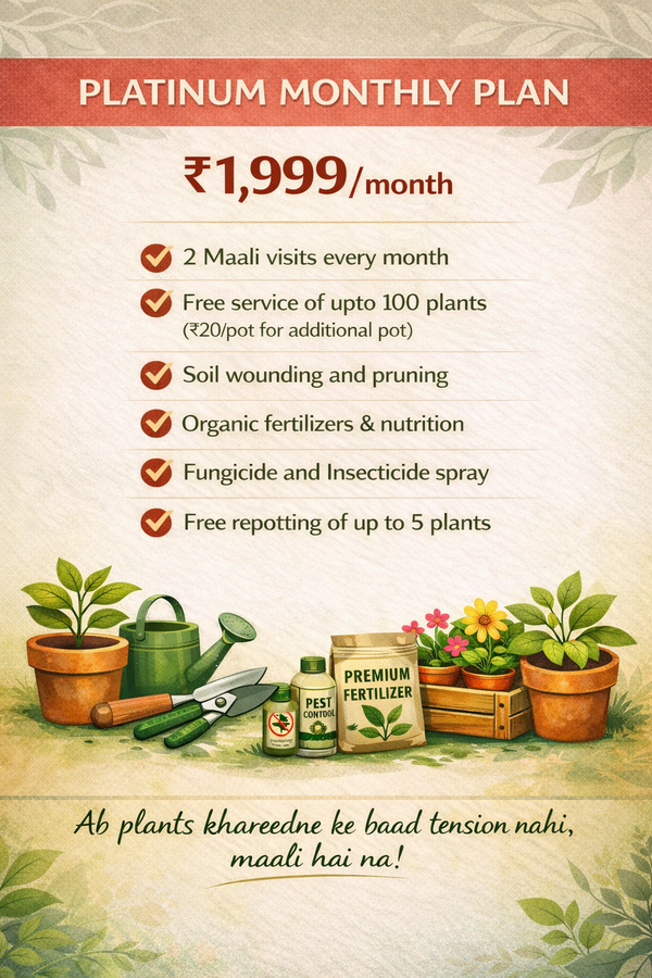 Platinum Monthly Plan - Maali Services