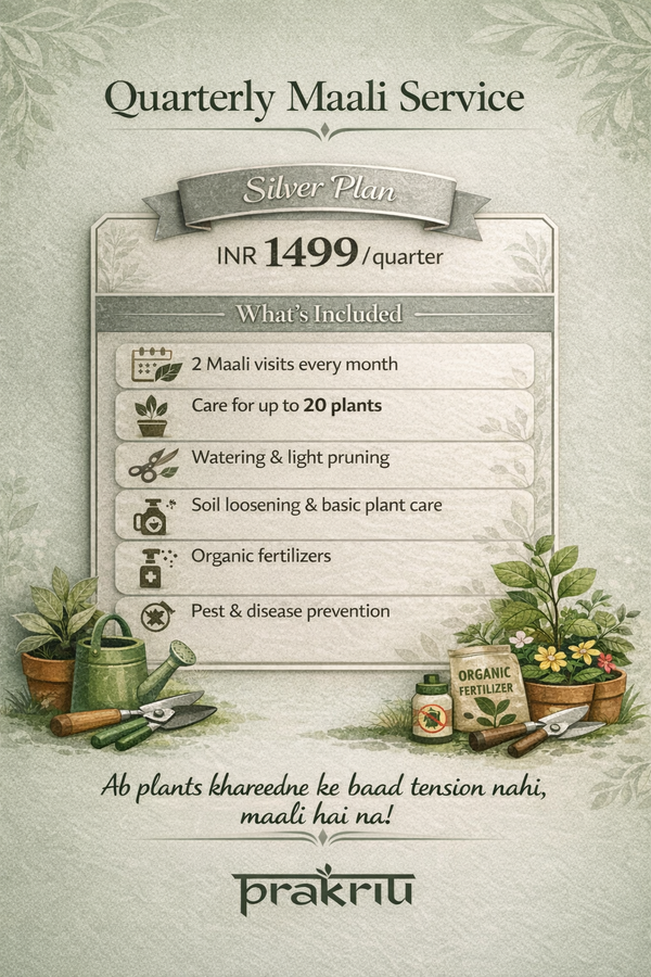 Quarterly Maali Service – Silver Plan