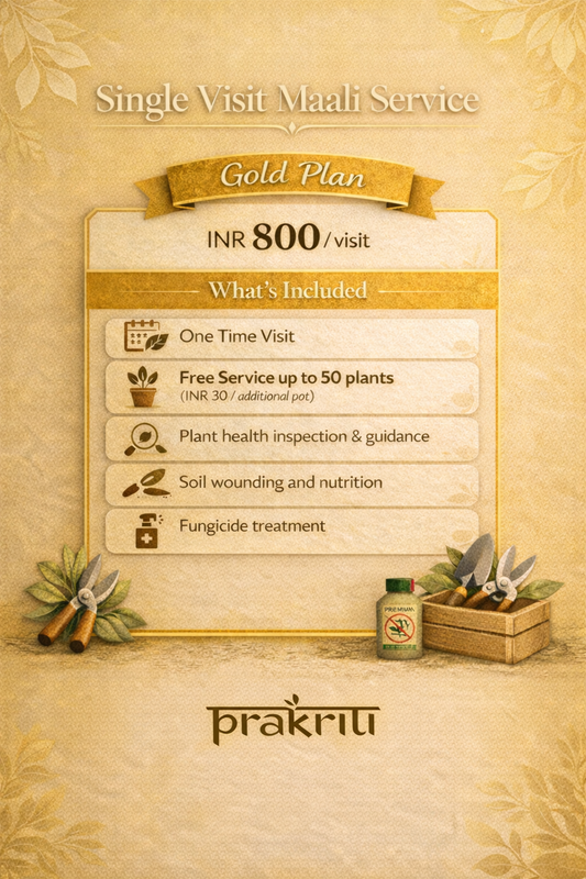 Single Visit Maali Service - Gold Plan